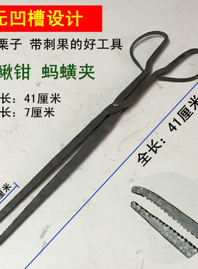 包邮黄鳝夹鱼夹鳝鱼钳夹蛇泥鳅钳垃圾夹铁钳捡栗子果钳子带刺毛栗