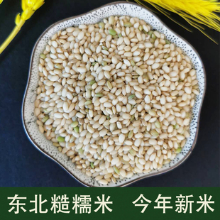新糙糯米500g 酒酿米 东北糙米白糯米圆粒酿酒黏米糯米