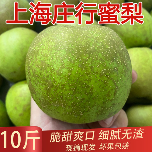 上海庄行蜜梨奉贤翠冠梨皮薄多汁