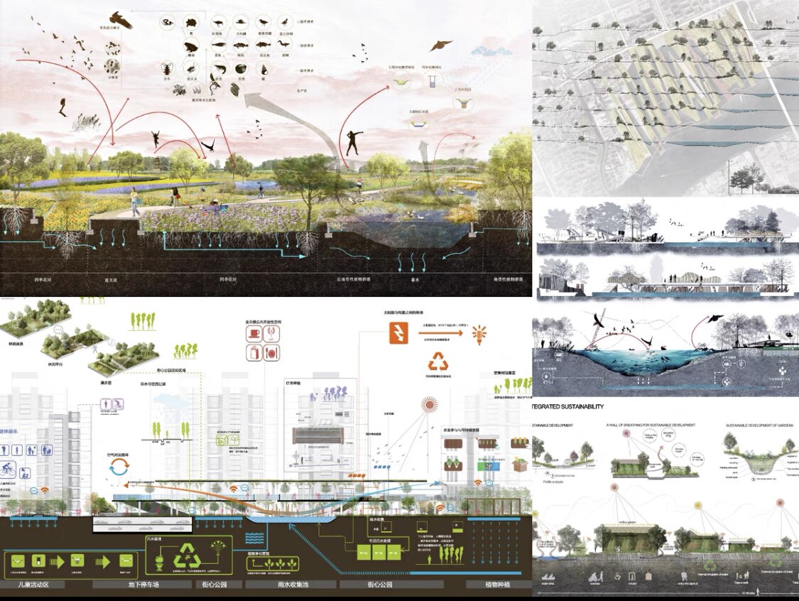 滨水湿地公园小清新植物立面效果景观剖面图分析图psd源文件