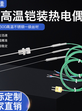 K型铠装热电偶WRNK-191探针温度传感器PT100/E/J高精度热电阻探头
