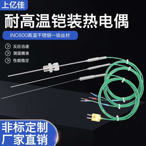 K型铠装热电偶WRNK-191探针温度传感器PT100/E/J高精度热电阻探头