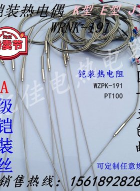 K型铠装热电偶WRNK-191/E型J型热电偶/探针式热电偶/温度传感器