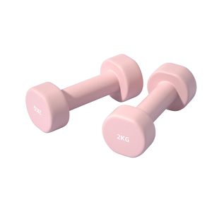 哑铃女士健身家用1/2/3/4/5/10kg公斤8一对 纯铁实心铸铁儿童男士