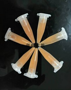 丰年虫卵活体丰年虫卵水母饲料水母饵料水母专用饲料水母专用饵料