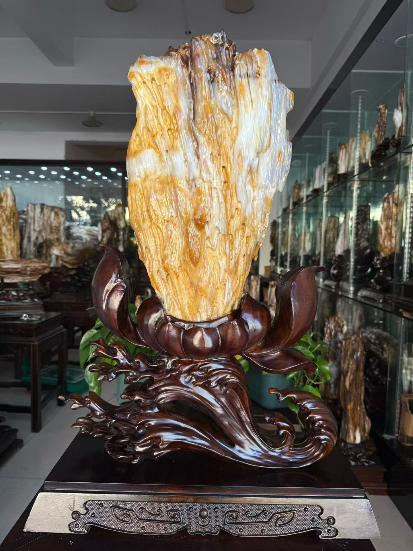 精美缅甸鸡油黄树化玉原石摆件天然冰种硅化木奇石客厅观赏石