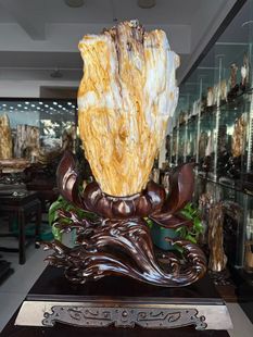 精美缅甸鸡油黄树化玉原石摆件天然冰种硅化木奇石客厅观赏石