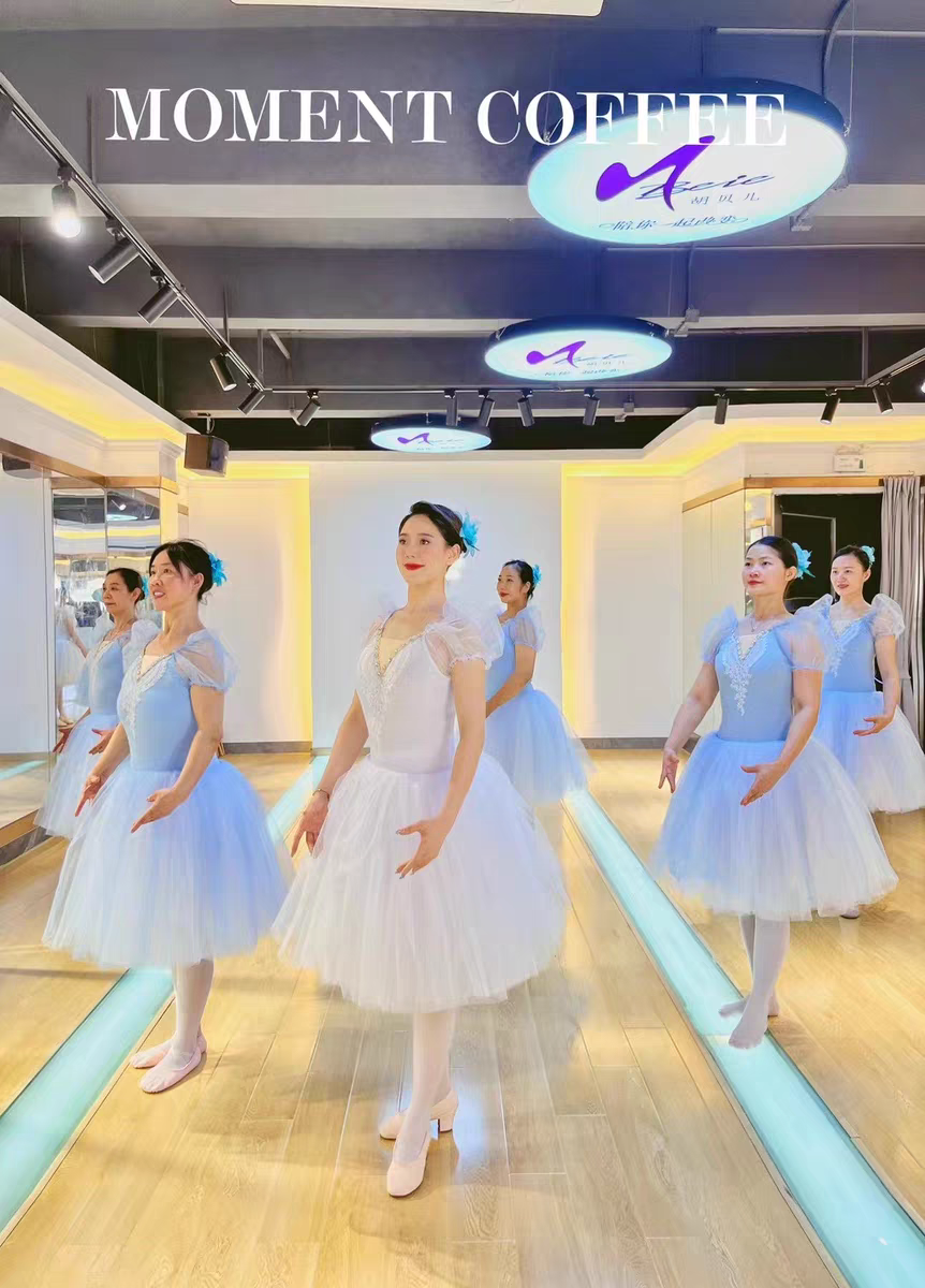 专业幼儿芭蕾舞裙演出服舞蹈泡泡袖蓬蓬纱裙女芭蕾表演服装新款