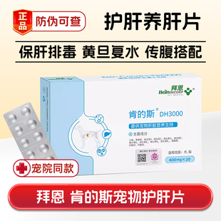 拜恩肯 斯护肝片猫狗宠物脂肪肝硬化炎传腹黄水疸飞蓟保肝衰竭