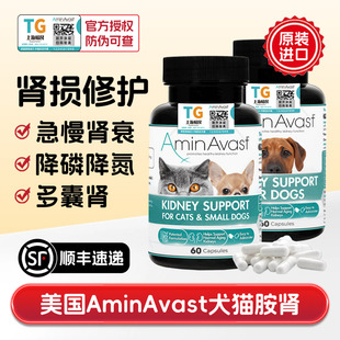 美国AminAvast肾衰停猫狗胺肾透急慢性肾衰竭肝损伤降磷肌酐病康