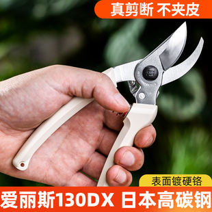 正品 日本进口修枝剪爱丽斯 园艺手剪刀原装 130DX 果树整枝剪 ARS