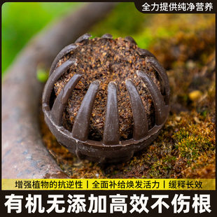 玉肥盆景松柏金弹子老鸦柿花卉绿植专用长效有机颗粒缓释专用肥料