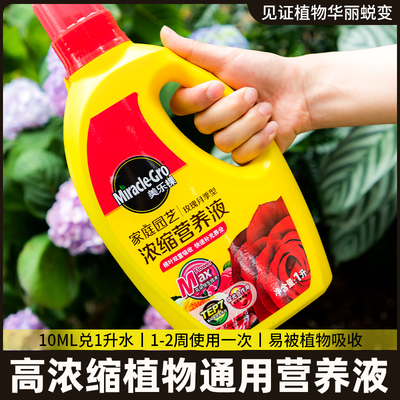 大树生根液枯树再生复活液树木移栽壮苗剂植物通用型营养液激活液