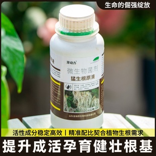 金弹子爆根剂专用生根壮苗水溶肥复活营养粉原液扦插强力猛活力素