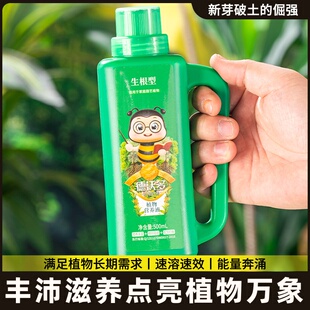 种球专用营养液水仙种球朱顶红百合郁金香风信子风雨兰肥料营养液
