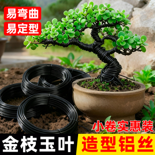 盆景专用金枝玉叶造型铝丝太阳花三角梅造型铁丝支架小叶簕竹铝线