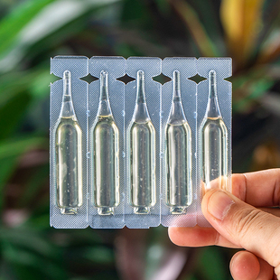 富贵竹专用营养液水培植物生根竹子观音竹转运竹营养液治叶子发黄