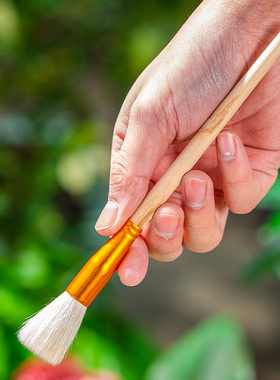 人工授粉笔草莓多肉西红柿无花果树授粉工具花粉点花授粉刷材料配