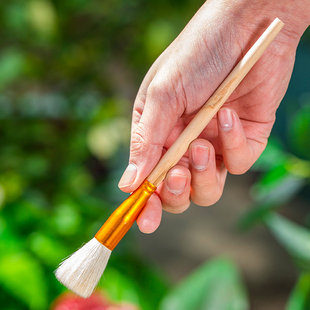 人工授粉笔草莓多肉西红柿无花果树授粉工具花粉点花授粉刷材料配