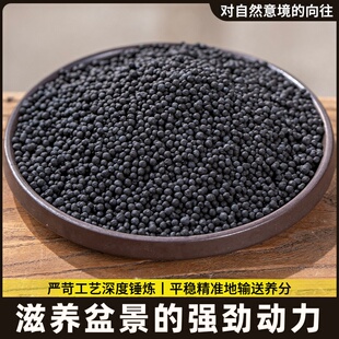 金弹子生根营养液盆景专用老鸦柿盆栽通用颗粒缓释有机肥料缓释安