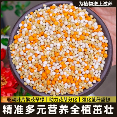 缓释肥通用型官方旗舰店颗粒花肥料兰花专用家用多肉绿植花卉农用
