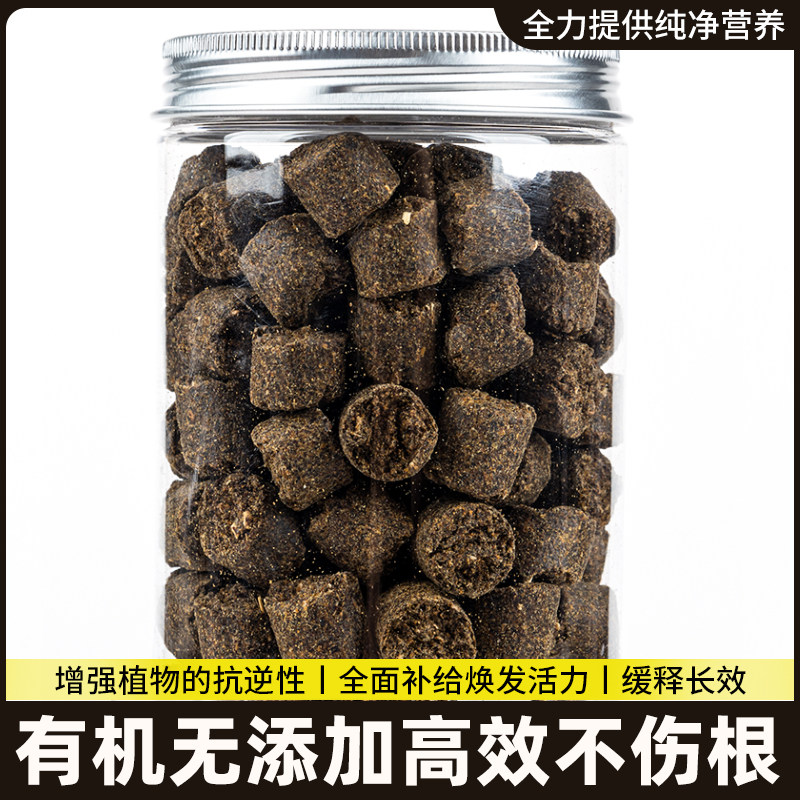 日本进口玉肥颗粒缓释肥盆景专用肥料罗汉松杜鹃松柏兰花有机花肥,鲜花速递/花卉仿真/绿植园艺,家庭园艺肥料,淘宝优惠券,粉丝福利购,淘宝优惠卷