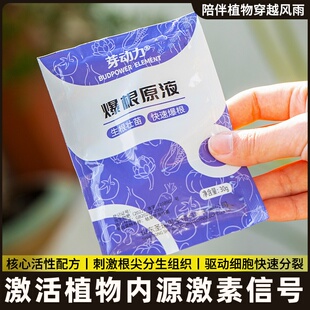 大树复活液死树成活生根药水枯树再生液强力壮苗爆生根营养液专业