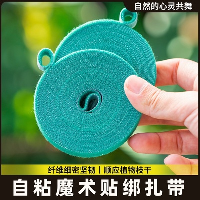 绑花扎带绿植龟背竹魔术贴园艺扎线植物捆绑定型绑带插花固定神器