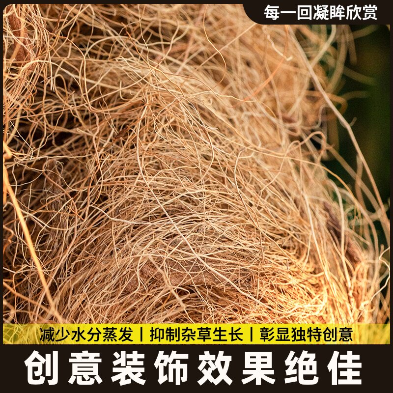 园艺椰丝铺面花盆装饰铺面绿植铺面椰棕丝盆栽土耶丝铺底植物环保