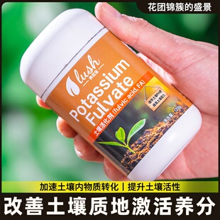 土壤活化剂矿源黄腐酸钾复合肥松土精黑水肥料植物花肥水溶肥正品