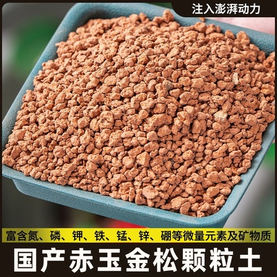 货到金松土极硬赤玉土烧结土清洁土养根土素根裸根扦插土产专用土