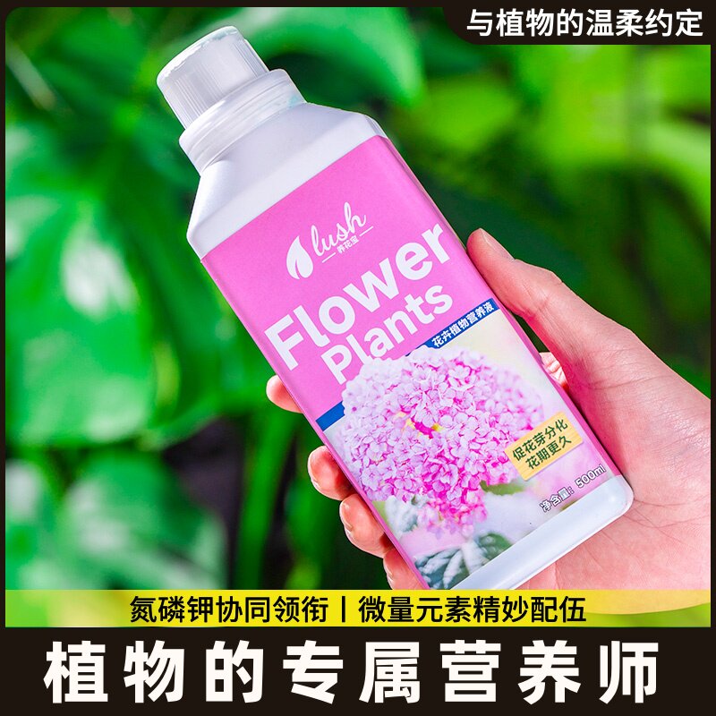 种球专用营养液水仙种球朱顶红百合郁金香风信子风雨兰肥料营养液图片