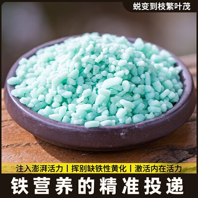 硫酸亚铁伴侣柠檬酸肥料柠檬酸花卉专用酸性植物通用型土壤调酸剂