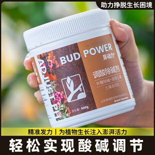 硫酸亚铁喜酸性花卉绿植栀子茉莉杜鹃专用土壤调酸铁肥料高效补肥