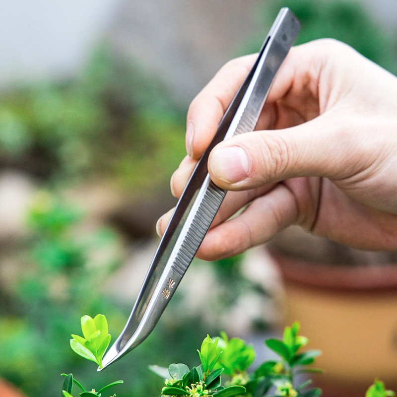 鼎木园艺盆景切芽镊芽剪摘芽加长盆栽剪插花造型工具叶芽剪菖蒲剪,鲜花速递/花卉仿真/绿植园艺,剪刀,淘宝优惠券,粉丝福利购,淘宝优惠卷
