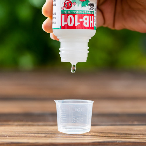 HB101活力素植物天然活力液hb101颗粒缓释肥料多肉花卉肥高效