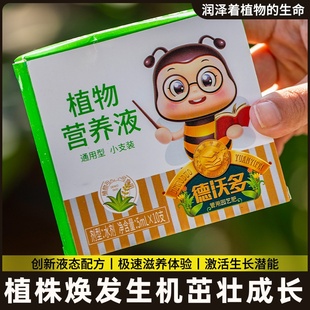 富贵竹专用营养液水培植物生根竹子观音竹转运竹营养液治叶子发黄