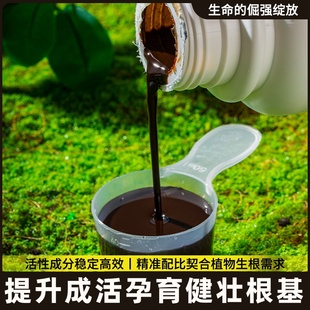 金弹子爆根剂专用生根壮苗水溶肥复活营养粉原液扦插强力猛活力素