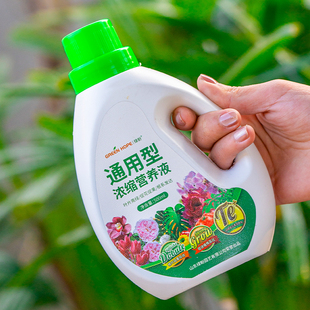 龙血树龙须树专用肥料营养液盆栽植物室内绿植养花肥通用氮磷钾肥