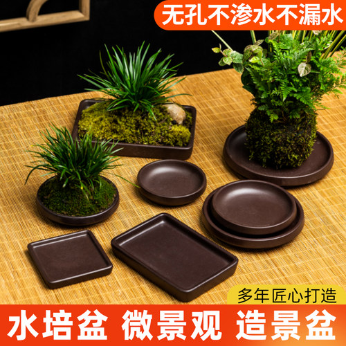 巴西木花盆陶瓷盆简约专用盆水培器皿幸运木紫砂现代无孔花盆托盘