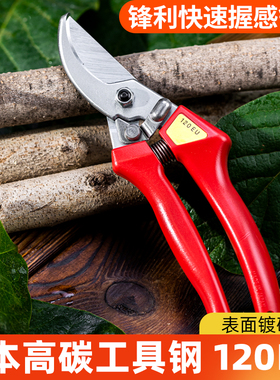 日本原装进口修枝剪果树粗枝剪爱丽斯ARS 120EU园林园艺工具剪刀