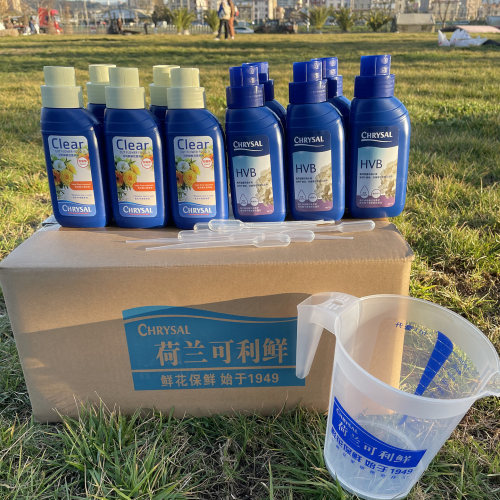 荷兰进口可利鲜hvb玫瑰清亮小瓶