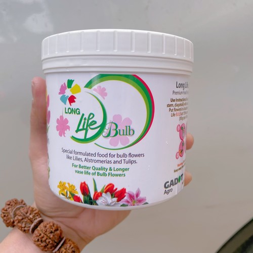 以色列花生命百合球根营养粉