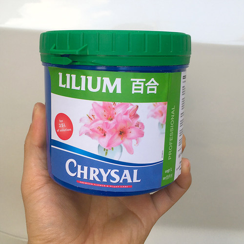 可利鲜百合营养粉促花开延长花期