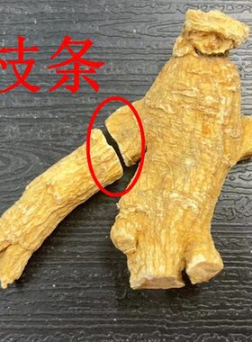 加拿大西洋参花旗参切片