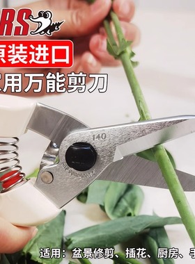 ars爱丽斯进口140dx园林园艺工具剪刀修枝剪整枝剪修树枝果树剪
