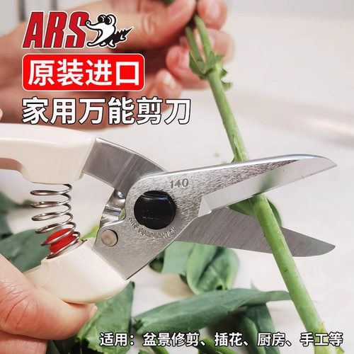 ARS爱丽斯进口园林剪刀园艺剪刀
