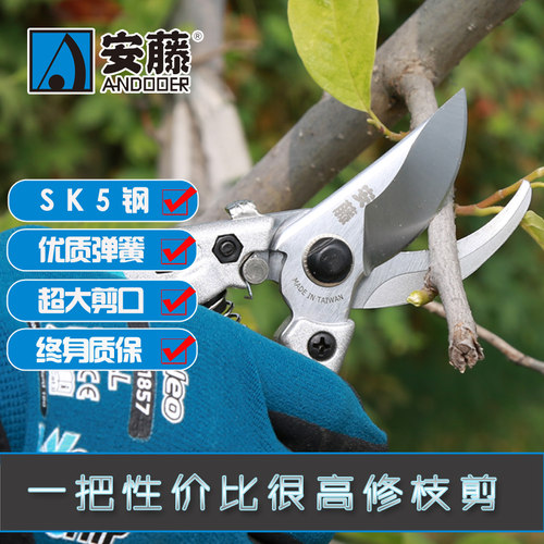 安藤粗枝剪园艺专用高级果树