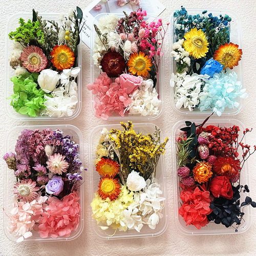 永生花材料包贴diy团扇浮游