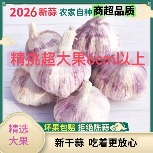 新干蒜特大蒜头5斤紫皮大蒜种子河南大蒜头干蒜5斤特大果10斤批发